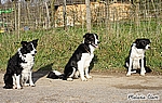 Momo, Luke und Fly